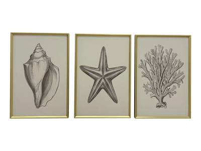 Solstice Coastal Canvas Wall Art with Gold Frame - Set of 3 Accessories 