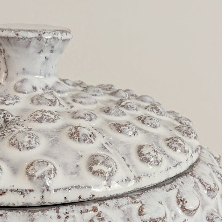 Sylvie White Bobbled Distressed Decorative Jar Accessories 