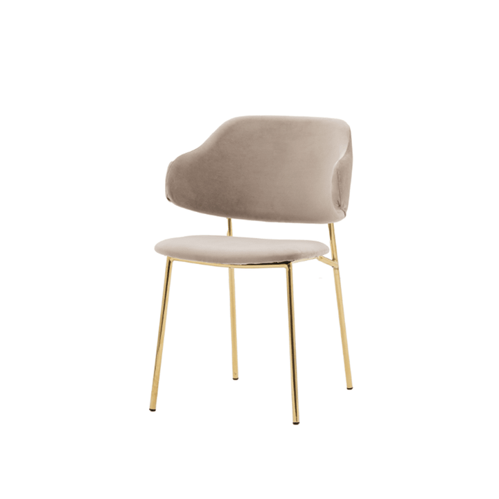 Cherub Taupe & Gold Dining Chairs - Set of 2 Garden 