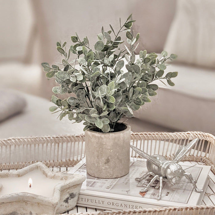 Eucalyptus Plant in Grey Stone Pot Florals and Plants 