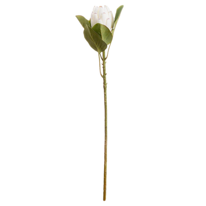 Faux Closed White Protea Single Stem Flower Florals and Plants 