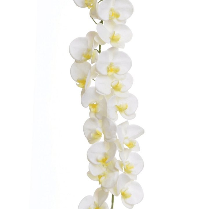 Faux Cream Orchid Garland Florals and Plants 