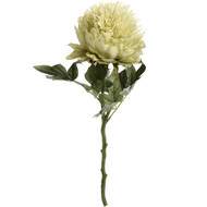 Faux Green Peony Single Stem Flower Florals and Plants 