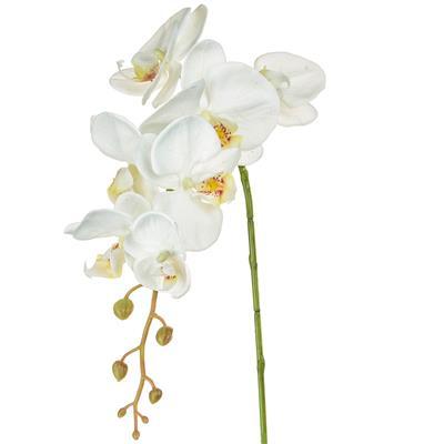 Large White Realistic Faux Orchid Single Stem Flower Florals and Plants 