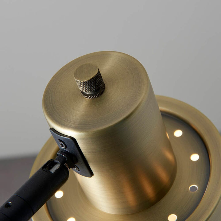 Newton Brass & Black Task Floor Lamp Lighting 