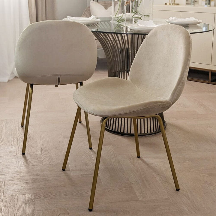 Pimlico Oatmeal Velvet and Gold Dining Chair - Set of 2 Chair 